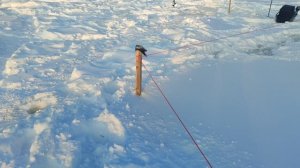 video5192960900788684372