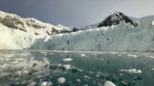 Новосибирские школьники отправились в Антарктиду