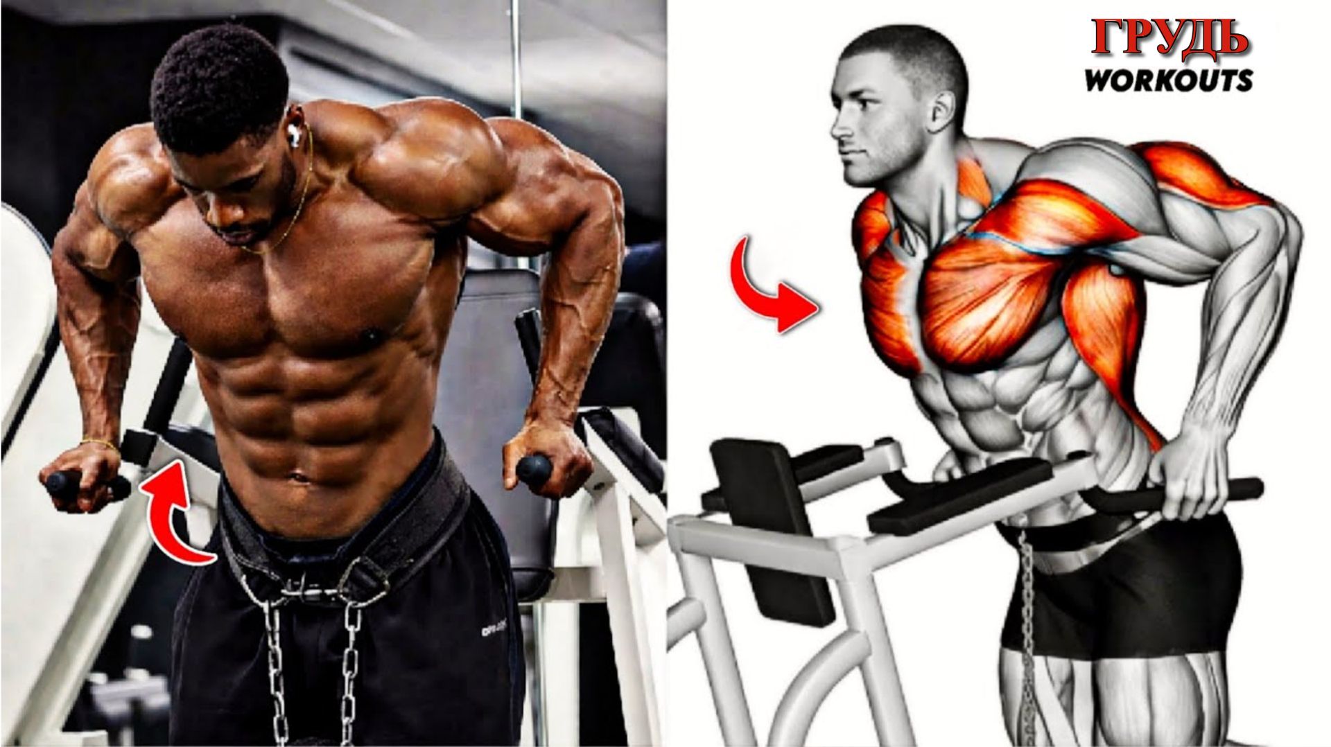 8 Упражнений Для ГРУДИ Которые Помогут Вам Увеличить Объем, Толщину и Силу 🔥