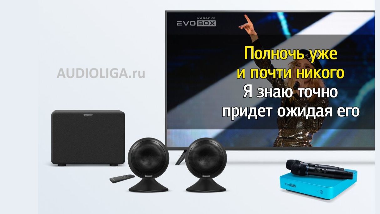 Магазин караоке. Промо песня о Аудио Лига.