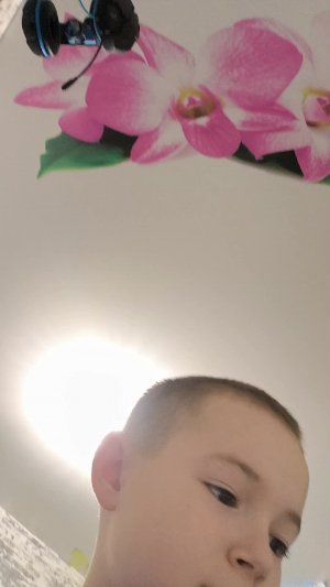 драконы из бумаги