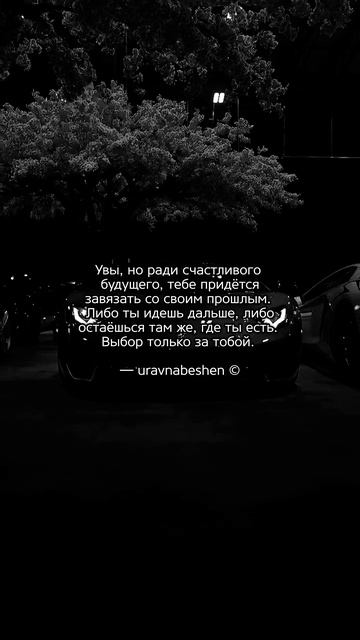 Выбор только за тобой 🥷