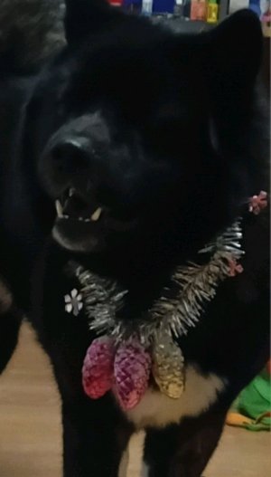 убираюсь везде где только можно