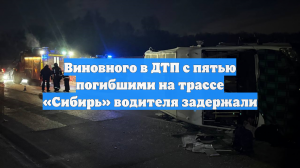 Виновного в ДТП с пятью погибшими на трассе «Сибирь» водителя задержали