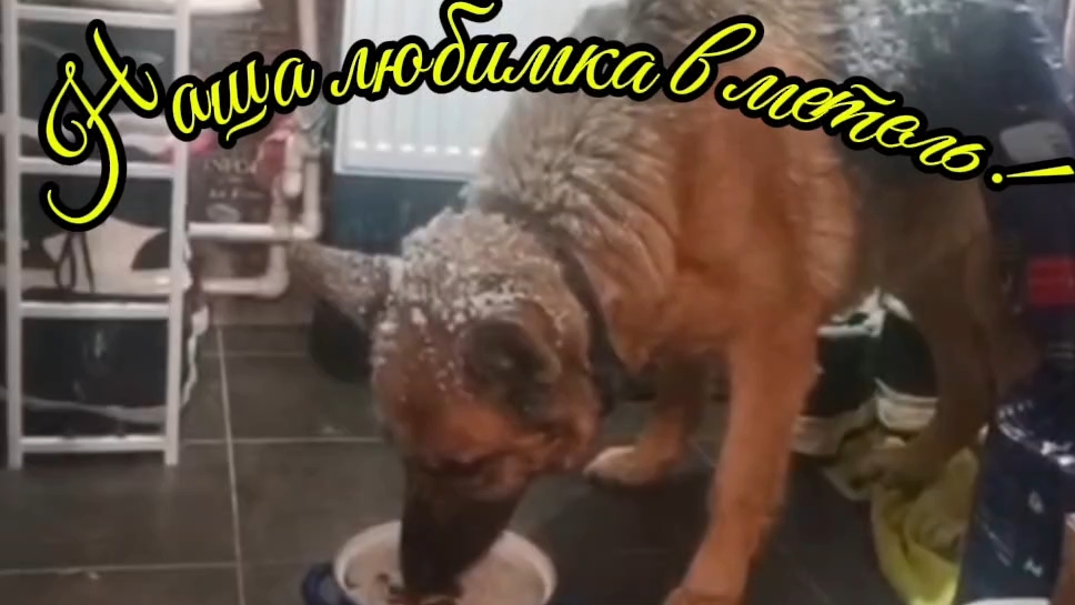 Ейск ! Преображение столовой в части купеческого дома у залива продолжается и немного о разном. смотреть онлайн