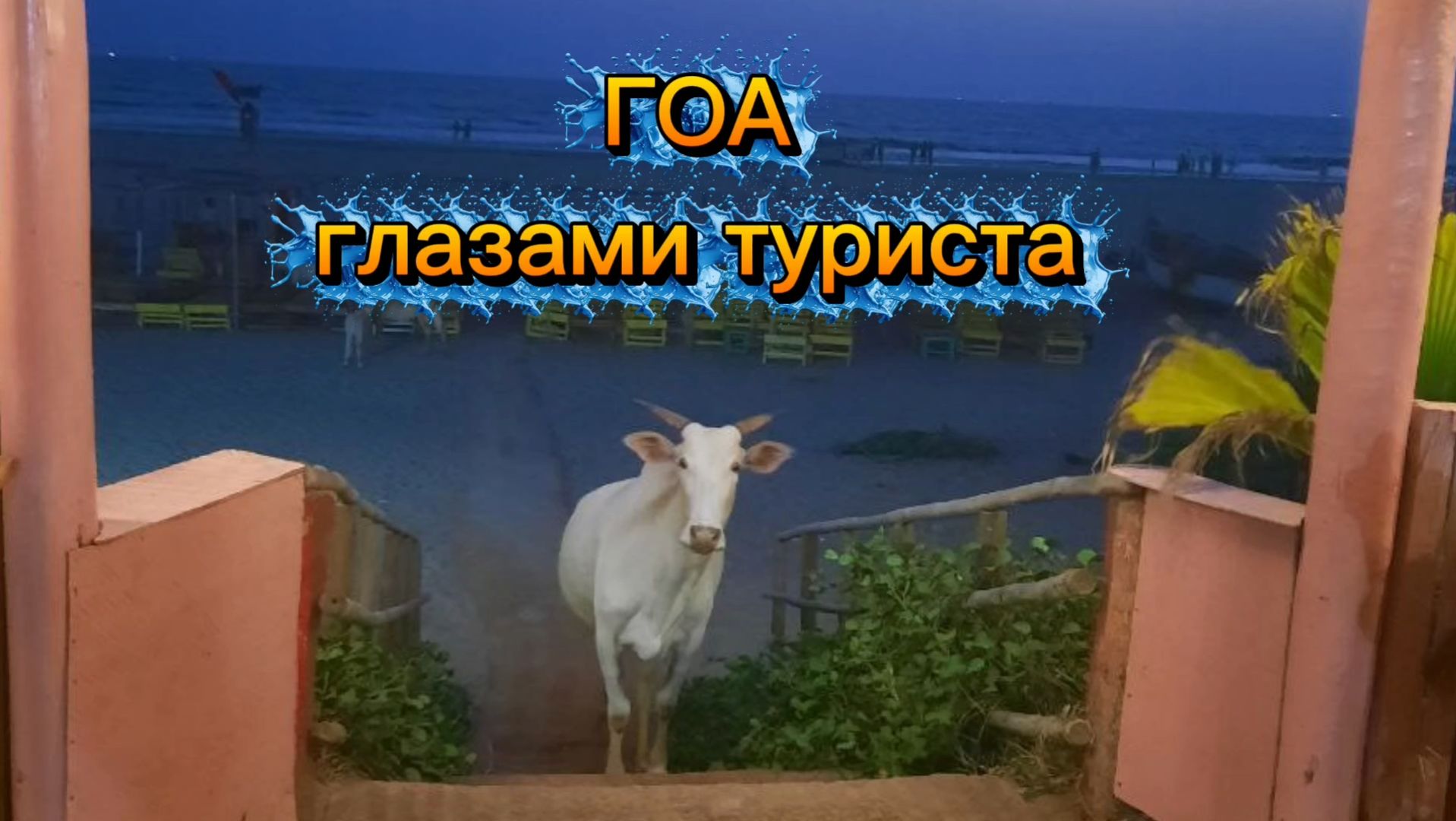 ГОА.  Зарисовки туриста. Апрель.