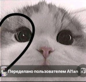 моя жизнь(продолжение)