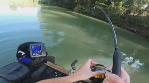 РЫБА МОНСТР ИЗ РЕЧКИ