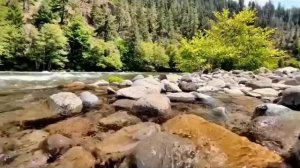 Правдивая Ольга. Анжелика Снежинская. Не смейте её трогать!!! это тема-табу!!!