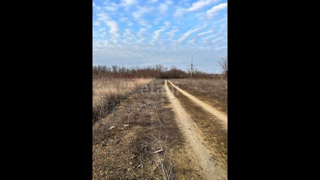 2446170 смотреть онлайн