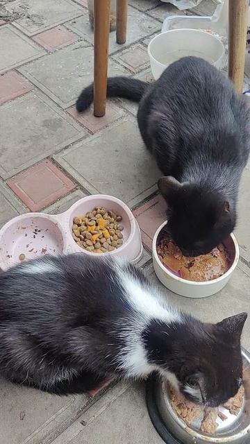 То, что было утром, это уже в прошлом…