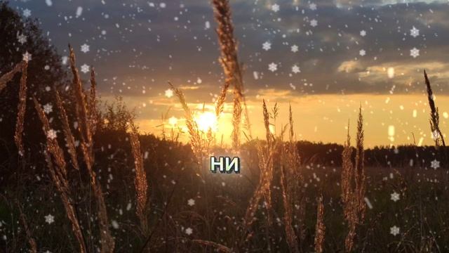 4 февраля 2026