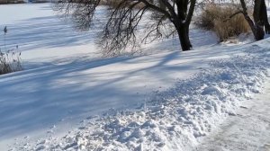 Морозный променад 03.02.26.