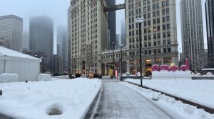 СНЕЖНЫЙ АД В ЧИКАГО ❄️ Сильнейшая метель в США в реальном времени
