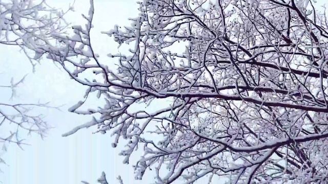 Снегом стать Снегом стать