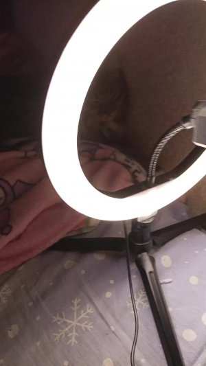 обзор 😁😁😁