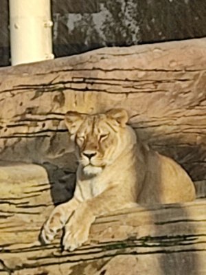 Поднимаю звание и летаю на самолёте