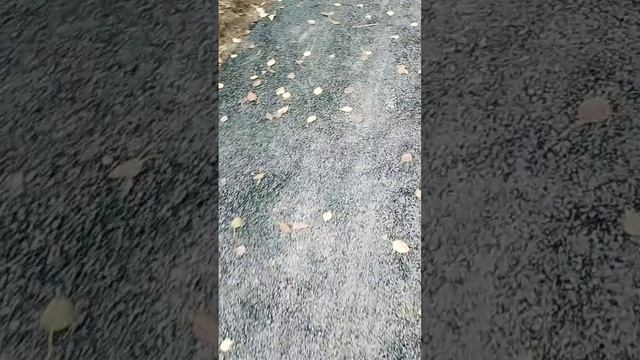 Видео об непутёво сделанном тротуаре на ул. Комсомольской от 11.09.2025г.