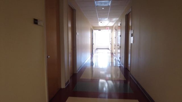 Как поступить в университет в США