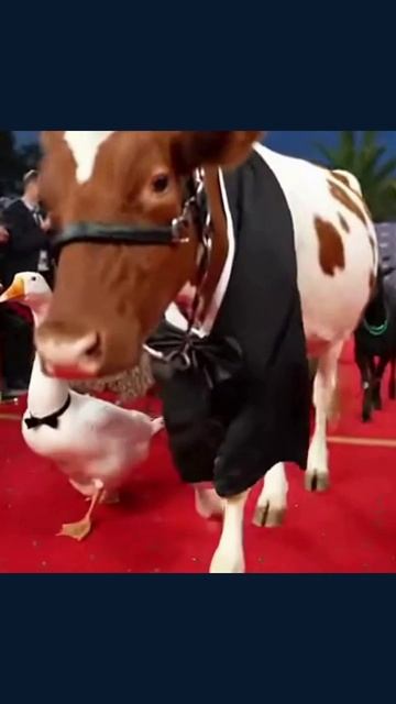 тайга дикаяприрода приключения матушкаприрода