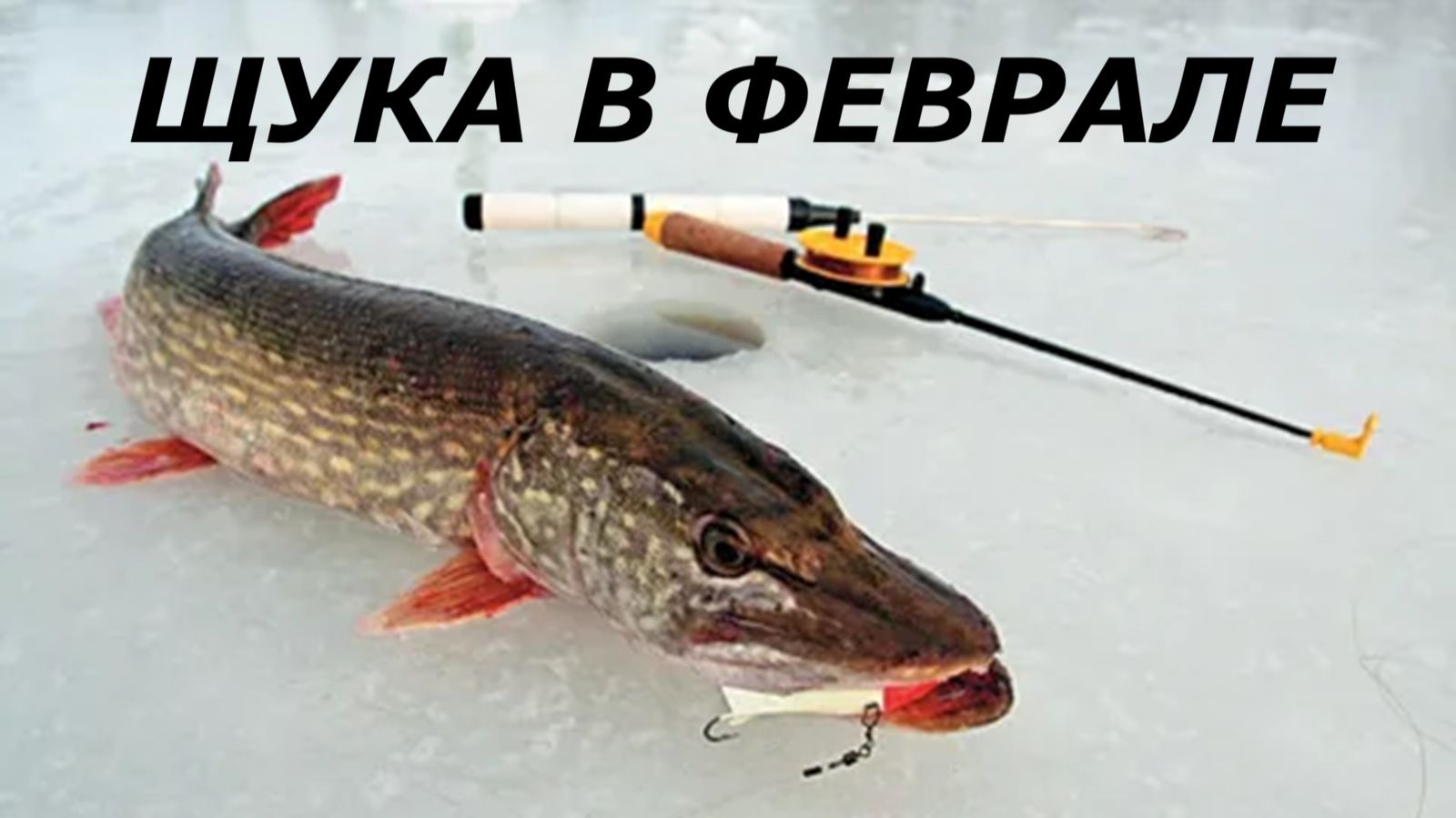 КАК ЛОВИТЬ ЩУКУ в ФЕВРАЛЕ? ТАКТИКИ для ЛОВЛИ ЩУКИ на ЖЕРЛИЦЫ! КАК ПОЙМАТЬ ЩУКУ ЗИМОЙ? смотреть онлайн