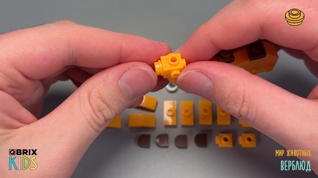 Собираем верблюда из конструктора QBRIX KIDS - детские конструкторы с видеоинструкцией смотреть онлайн