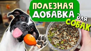 Вкусная и полезная добавка для собак при натуральном кормлении