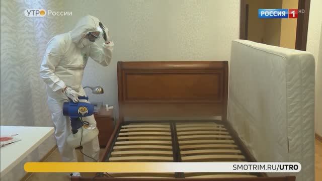 Телеканал Россия1: клопы в квартире. Добролов в передаче Утро России