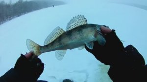 ПОГОДА ЖЕСТЬ.А ОН КЛЮЕТ.ЛОВЛЯ СУДАКА И БЕРША НА ТЮЛЬКУ.Рыбалка на верхней ВОЛГЕ.