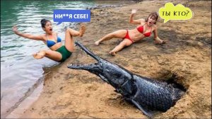 НЕУДАЧНЫЕ СЛУЧАИ НА РЫБАЛКЕ, СНЯТЫЕ НА КАМЕРУ