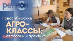 Регион LIFE | Новосибирские агроклассы : от теории к практике | ОТС LIVE — прямая трансляция
