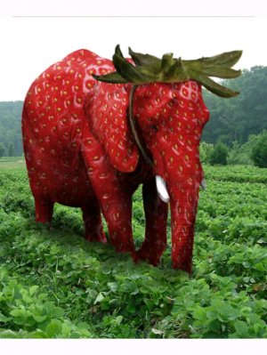 как сделать мой скин майнкрафт 2