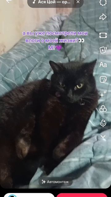 #видеодневник мои влоги о моей жизни ПОДПИШИСЬ☺️💜 Для донатов💸👉 2200 7008 3641 1818 Тинькофф