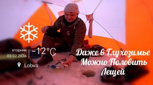 Рыбалка На Леща и Сорогу. Морозит, - 24 и ветер, приволок вторую печку. Утопил микрофон,а потом...