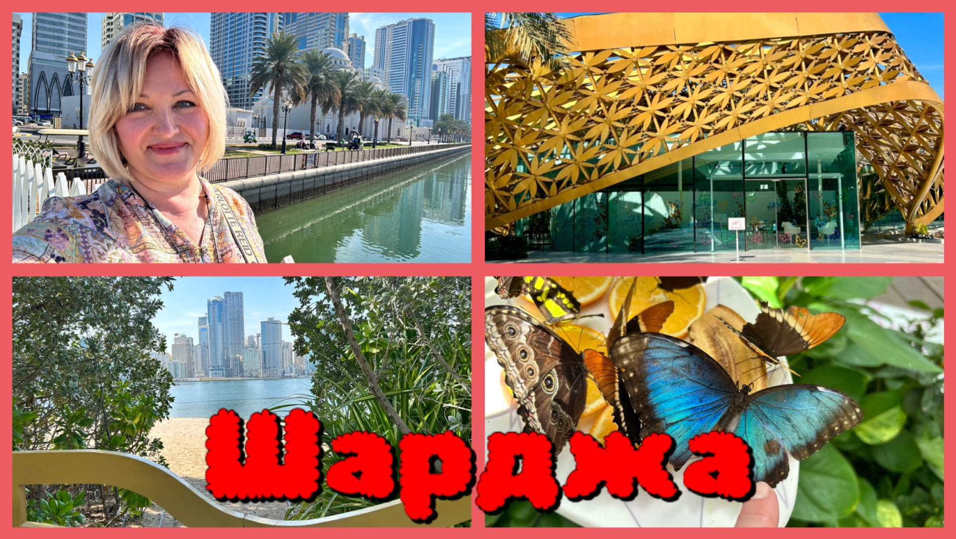 ОАЭ 🇦🇪 Шарджа .Парк Al Noor Island جزيرة النور 🦋Завтрак с панорамным видом Отель Golden Tulips смотреть онлайн