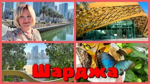 ОАЭ 🇦🇪 Шарджа .Парк Al Noor Island جزيرة النور 🦋Завтрак с панорамным видом Отель Golden Tulips