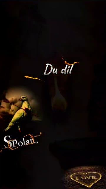Suto Polat.. - Du dil  Дö дьл shorts рек ezidi