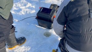 Поимка форели