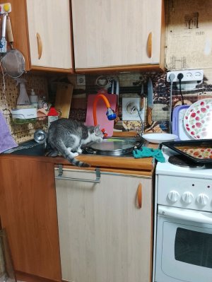 аооковомоворвлаоп