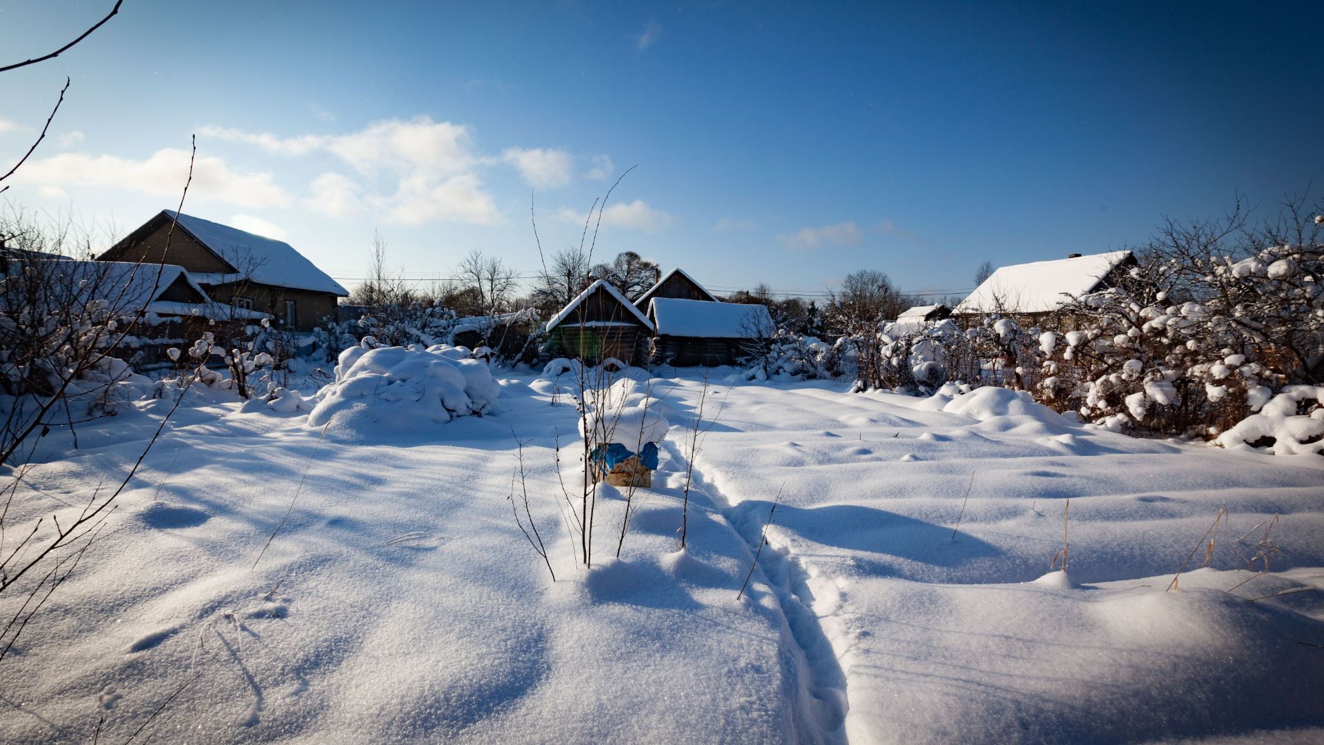 МВ 2Пионерская 42