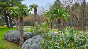 ЛЕДЯНОЙ ШТОРМ ОБОШЕЛ СТОРОНОЙ ГЕЛЕНДЖИК! ПОГОДА 3.02.2026