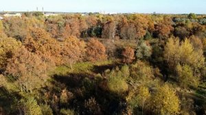 Александр Суханевич - Осень