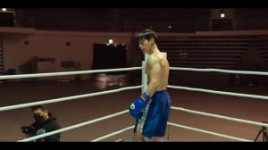 охотничьи псы словно Кончай корейский бокс кимко у