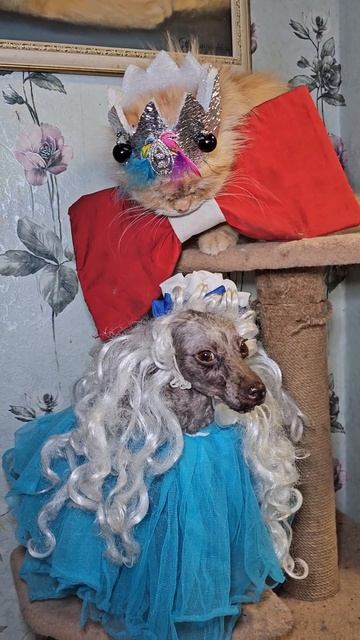 Ванесса хотела попросить Пикселюшу чтобы он поднял Любимым Зрителям Настроение 👑😻❤️😄🐩 Ванесса хотела попросить Пикселюшу чтобы он поднял Любимым Зрителям Настроение 👑😻❤️😄🐩