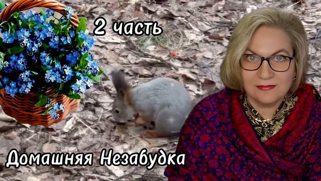 2 часть. Куча в бешенстве❗️ смотреть онлайн