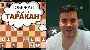 ПОБЕЖАЛ куда-то ТАРАКАН! Ян Непомнящий 29.01.2026