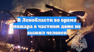 В Ленобласти во время пожара в частном доме не выжил человек