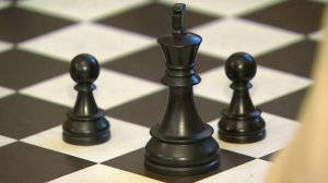 Российский шахматист Цыдыпов победил Карлсена в онлайн-турнире