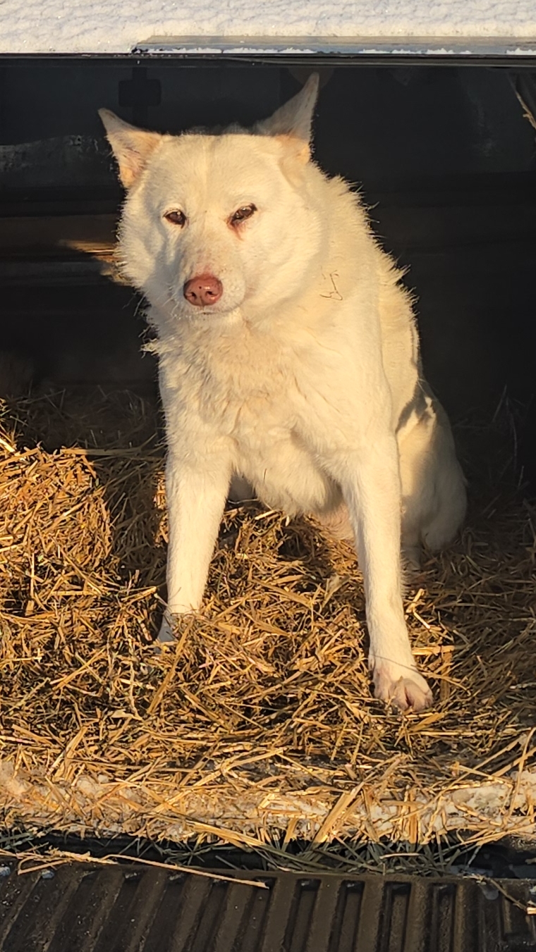 На один зубок