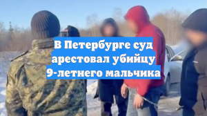 В Петербурге суд арестовал убийцу 9-летнего мальчика